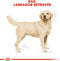 Royal Canin Labrador Retriever - Adult - Hondenbrokken - 7 KG