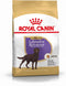 Royal Canin Labrador Retriever - Hondenvoer - Sterilised - 12 kg
