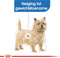 Royal Canin Light Weight Care Natvoer - Hondenvoer - 12x85 g