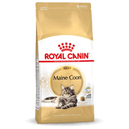Royal Canin Maine Coon Adult - Kattenvoer - 10 kg