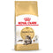 Royal Canin Maine Coon Adult - Kattenvoer - 10 kg
