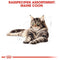 Royal Canin Maine Coon - Kattenvoer Brokjes - 4 kg