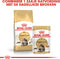 Royal Canin Maine Coon - Kattenvoer Brokjes - 4 kg