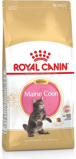 Royal Canin Maine Coon Kitten - Kitten-Kattenvoer - 2 kg