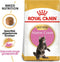 Royal Canin Maine Coon Kitten - Kitten-Kattenvoer - 2 kg