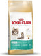 Royal Canin Maine Coon Kitten - Kitten-Kattenvoer - 4 kg