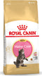 Royal Canin Maine Coon Kitten - Kitten-Kattenvoer - 4 kg