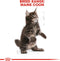 Royal Canin Maine Coon Kitten - Kitten-Kattenvoer - 4 kg