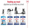 Royal Canin Maxi Adult - Hondenvoer - 4 kg