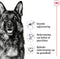 Royal Canin Maxi Adult - Hondenvoer - 4 kg