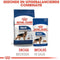 Royal Canin Maxi Adult Natvoer - Hondenvoer - 10x140 g