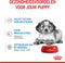 Royal Canin Medium Natvoer - Puppy-Hondenvoer - 10x140 g