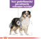 Royal Canin Medium Sterilised 3 KG