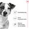 Royal canin mini adult +8 - Default Title