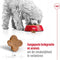 Royal canin mini adult +8 - Default Title