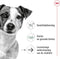 Royal canin mini ageing +12 - Default Title