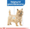Royal canin mini light weight care - Default Title