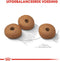Royal canin mini light weight care - Default Title