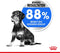Royal canin mini light weight care - Default Title