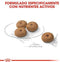 Royal Canin Mini - Sterilised - Hondenbrokken - 8 KG