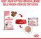 Royal Canin Mother and Babycat Instinctive - Kattenvoer - 195 g