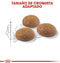 Royal Canin - Outdoor - Kattenvoer - 2 kg