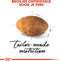 Royal Canin Persian Adult - Kattenvoer - 4 kg