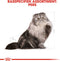 Royal Canin Persian Adult - Kattenvoer - 4 kg