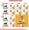 Royal Canin Persian Adult - Kattenvoer - 4 kg