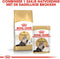 Royal Canin Persian Adult - Kattenvoer - 400 g