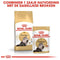 Royal Canin Persian Adult Pouch - Kattenvoer - 12 x 85 g