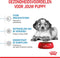 Royal Canin Puppy Medium - Hondenbrokken - 4 KG