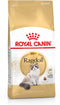 Royal Canin Ragdoll Adult - Kattenvoer - 2 kg