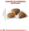 Royal Canin Savour Exigent - Kattenvoer - 400 g