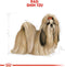 Royal canin shih tzu adult - Default Title