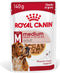 Royal Canin Shn Medium Adult Pouch - Hondenvoer - 10 x 140 g