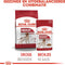 Royal Canin Shn Medium Adult Pouch - Hondenvoer - 10 x 140 g