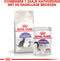 Royal Canin Sterilised - Kattenvoer Brokjes - 4 kg