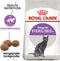 Royal Canin Sterilised - Kattenvoer Brokjes - 400 g