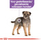 Royal Canin Sterilised Natvoer - Hondenvoer - 12x85 g