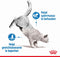 Royal Canin Ultra Light - Kattenvoer - 12 x 85 g