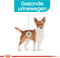 Royal Canin Urinary Care Mini - Hondenvoer - 3 kg