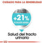 Royal Canin Urinary Care Mini - Hondenvoer - 3 kg