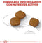Royal Canin Urinary Care Mini - Hondenvoer - 3 kg