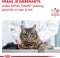 Royal Canin Veterinary Diet Diabetic - Kattenvoer - 1.5 kg