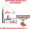 Royal Canin Veterinary Diet Gastro Intestinal Kitten - Kattenvoer - 2 kg