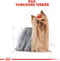 Royal Canin Yorkshire Terrier 1.5 KG
