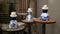 ROYAL DELFT Proud Mary figuur 8 - Gezicht op Delft
