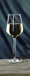 Royal Leerdam Carré Wijnglas Klein 290 ml - 6 stuks