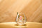 Royal Leerdam Ronda Wijnglas - 59cl - 10cm - Transparant 6 stuk(s)